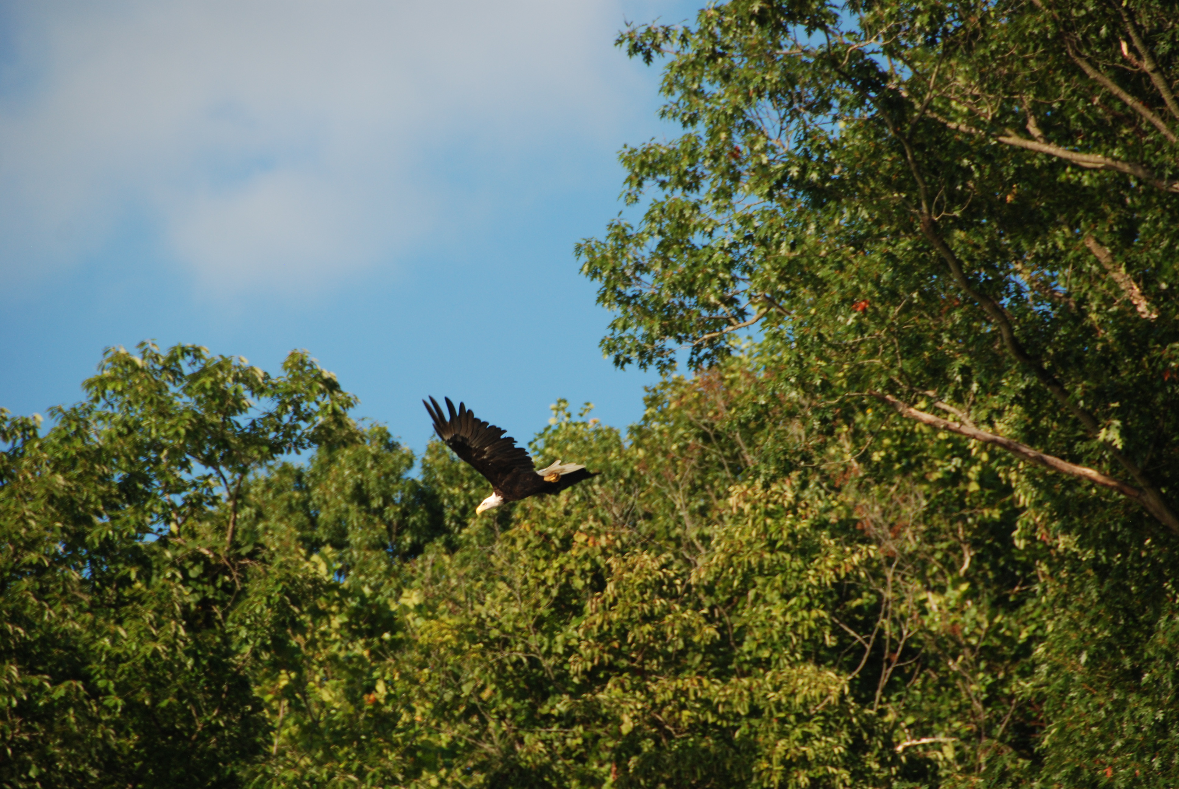 DSC_2358.JPG
